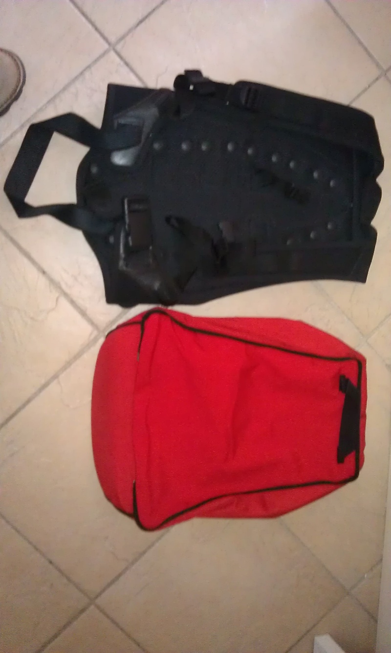 [A VENDRE] Dorsale/sac à dos DAINESE Imag0320