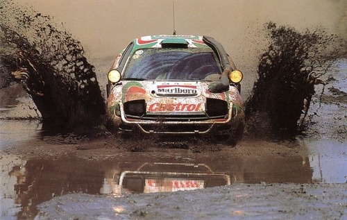 2cv rally raid  safari  Tumblr10