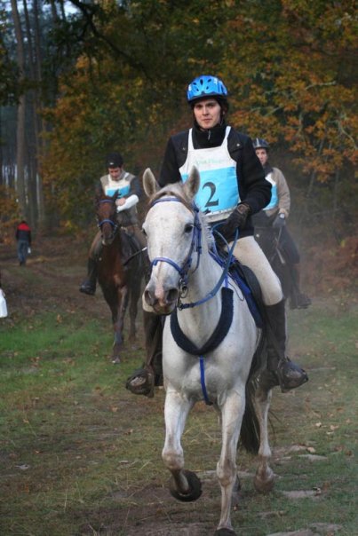 Location ventre poulinière  N410