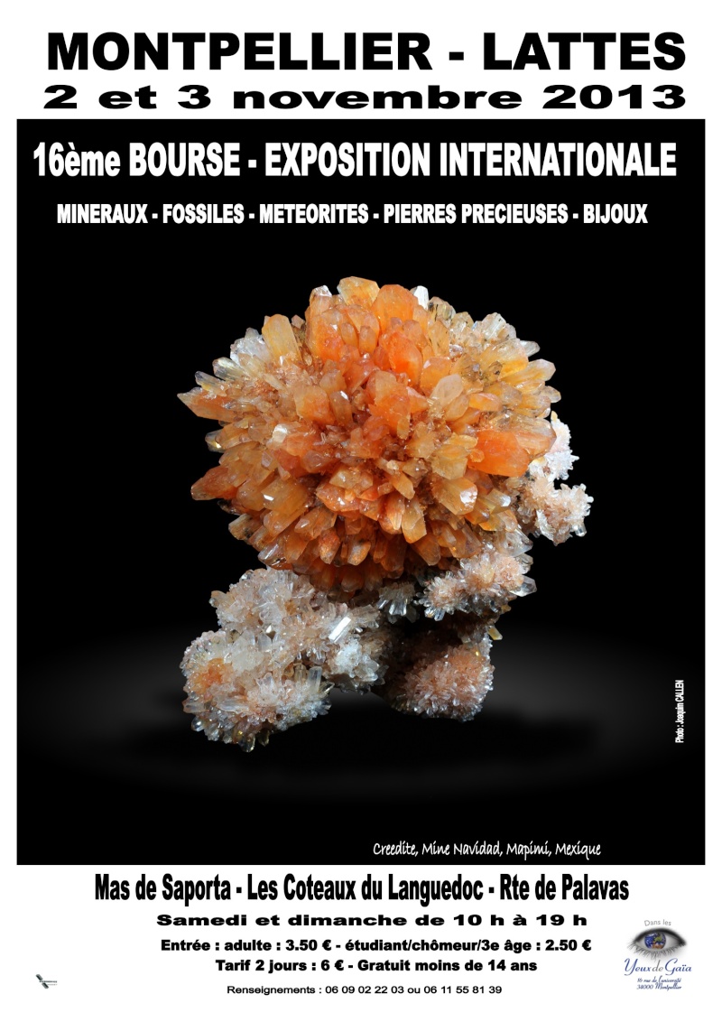 Bourse aux mineraux - Bourse Minéraux Fossiles Gemmes - Montpellier (Lattes) - 2 au 3 novembre 2013 Bourse11
