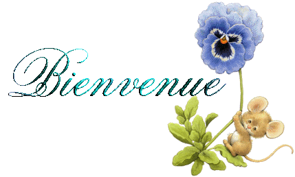 Nouveau débutant Bienve95