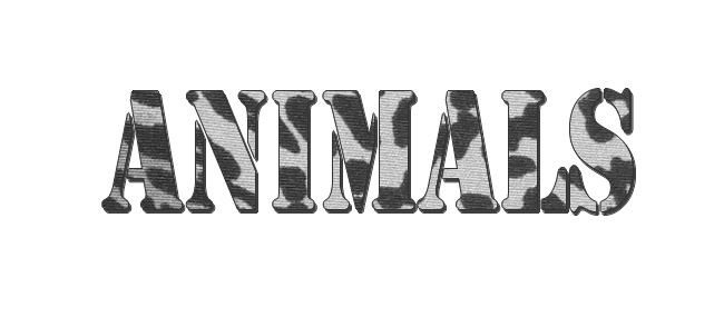 [ Clos ] Animals Animal11