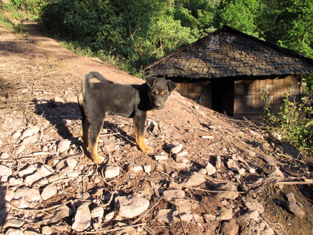 Le Laos Laos_258