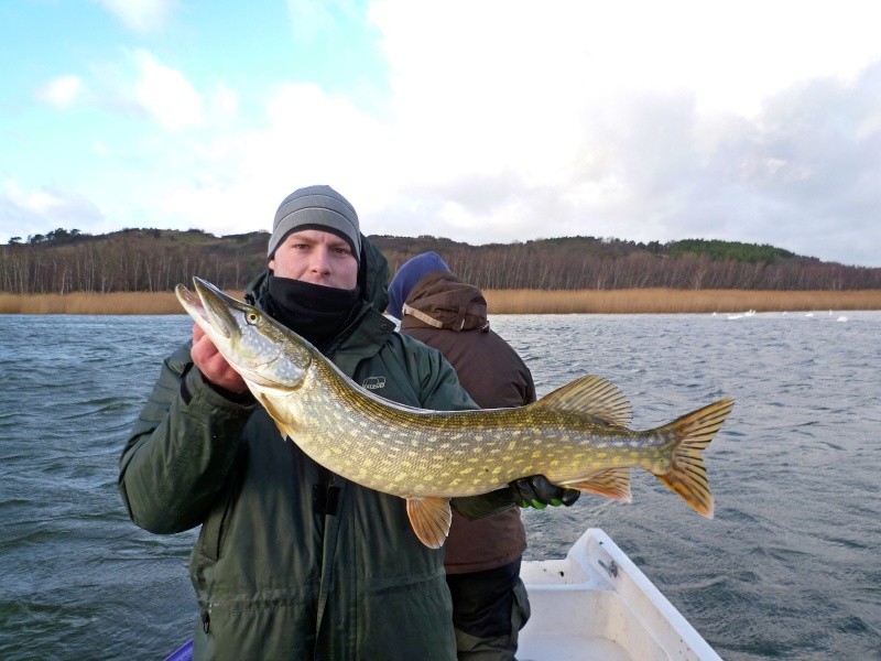 Schuss aus der Hüfte (Rügen Januar 2014) P1030610