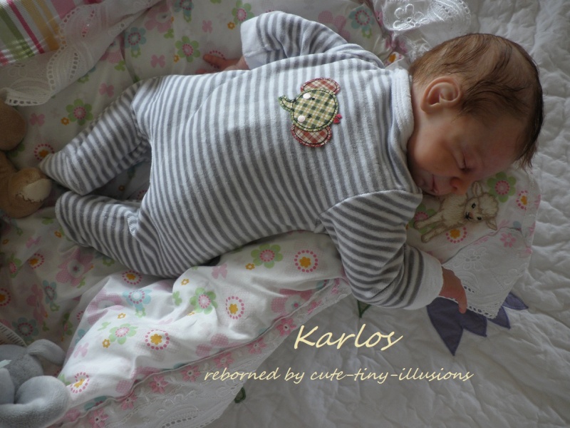 Karlos by Ulrike Gall P3270014