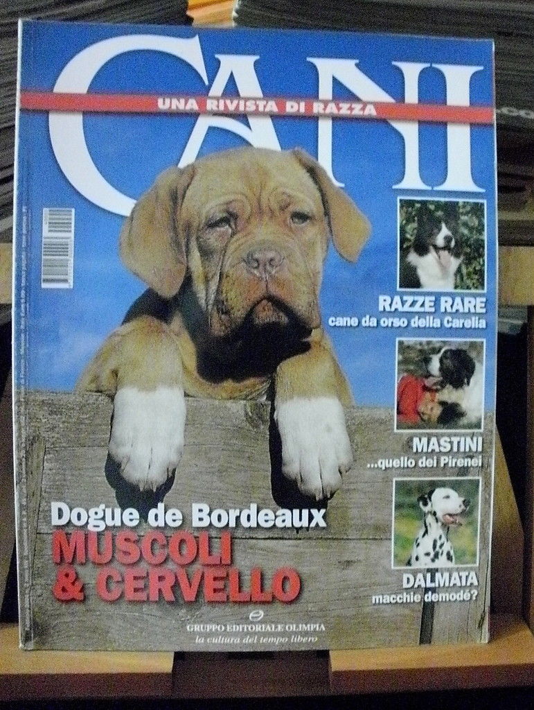 Rivista CANI n.2/2004 Cani10