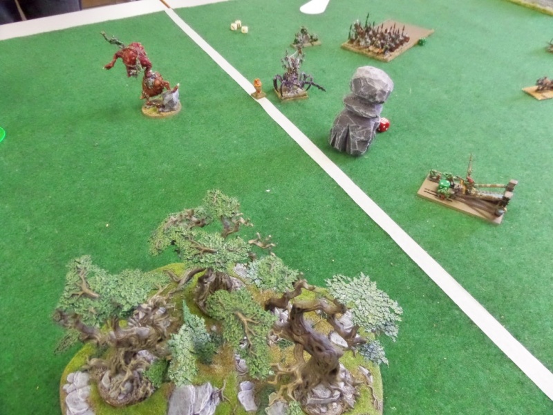 3000 pts - Full gobz vs Royaumes Ogres - Bash 8311