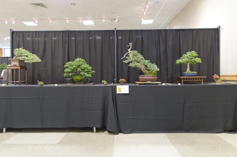 American Bonsai at the NC Arboretum - Page 5 Small_18