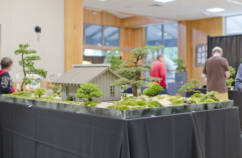 American Bonsai at the NC Arboretum - Page 5 Small_20