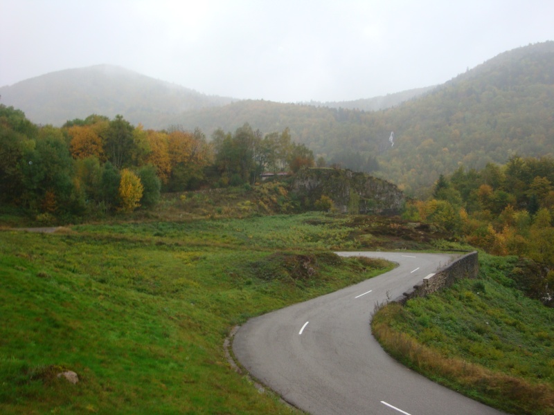 les rendez-vous du lac d'Alfeld Dsc07012