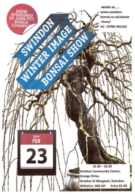 Swindon 'Winter Image' Show 2014 Poster13
