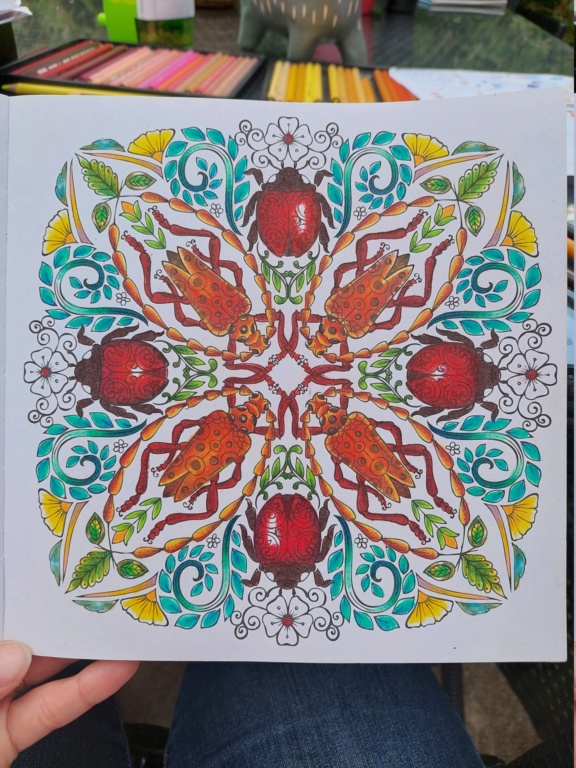 Album de didine - Page 3 20210720