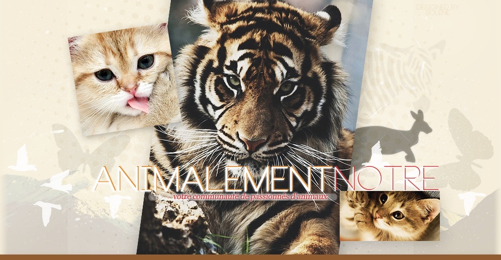 Animalement Notre