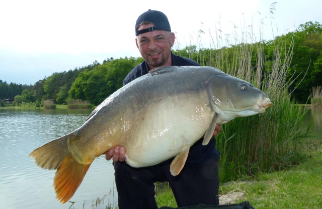 Madfred a la pêche au coup (Il vous suffis simplement d'y croire) 41445410