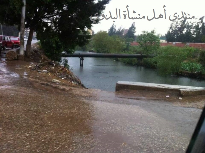 صور حصرية لأمطار اليوم بطلخا 13836510