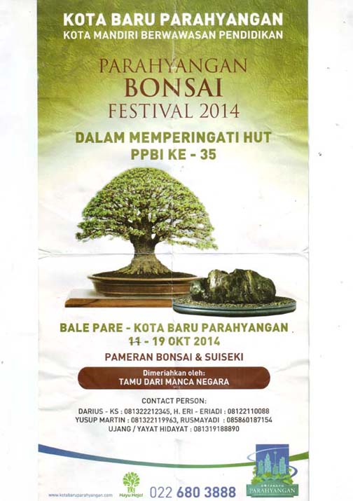 Indonesian Bonsai - Page 2 Bandun10