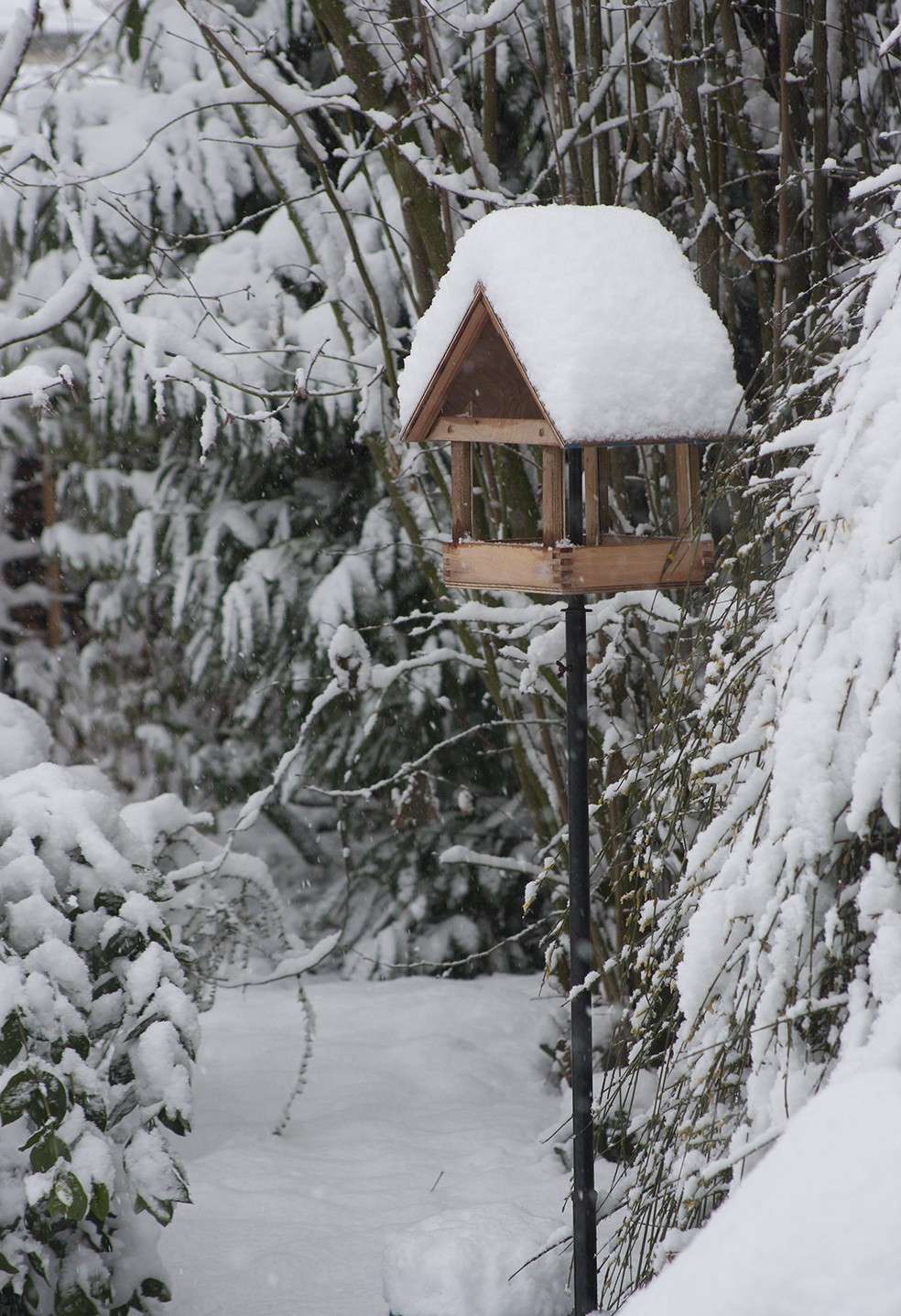 réalisation d'une mangeoire pour oiseaux Mangeo10