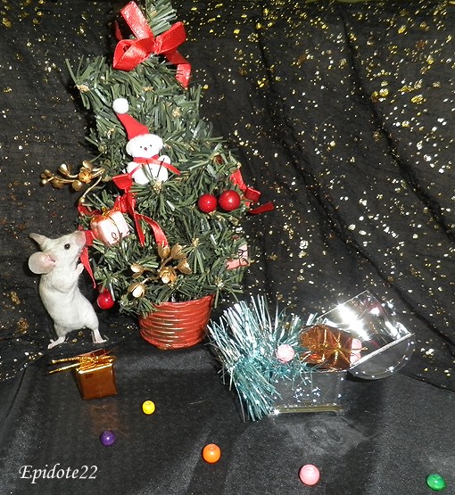 [Novembre 2013]Les souris ressortent les guirlandes de Noël 2_epid10