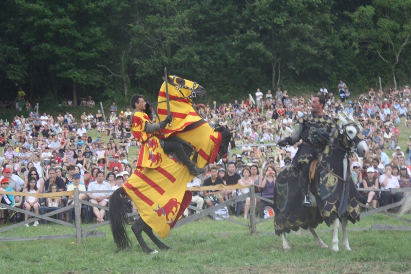 Stage joutes equestres en Saône et Loire 10738810