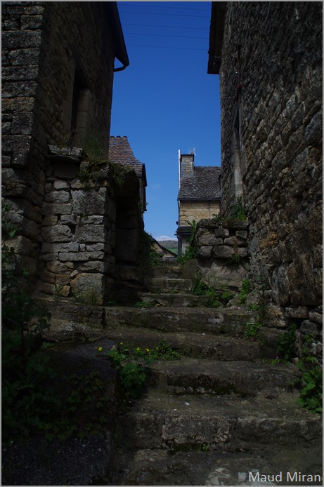 Une balade sur l'Aubrac Aubrac12