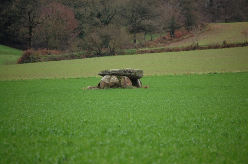 Photos de notre région  Dans_l10