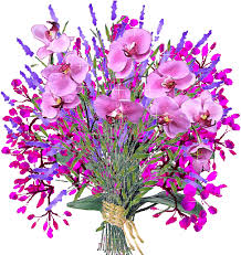 Bon Anniversaire Pascale Bon Anniversaire Pascale