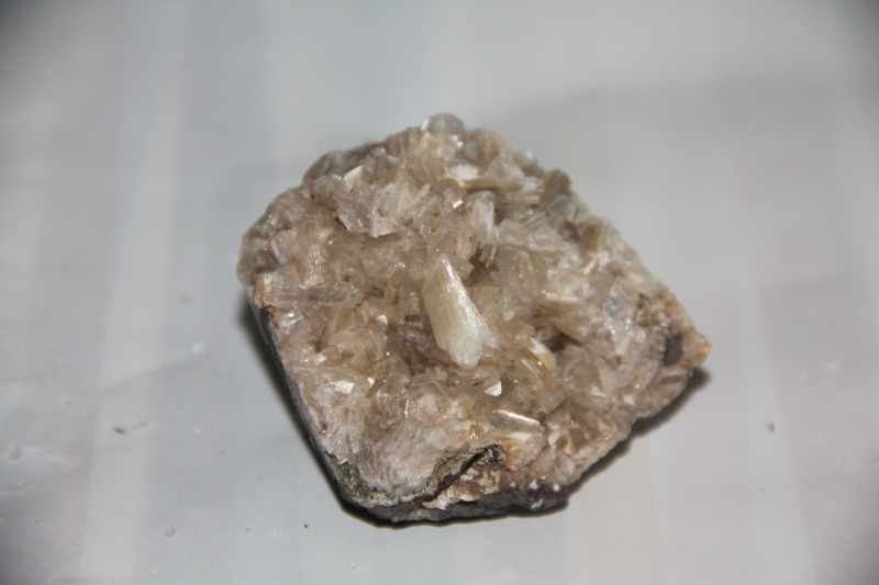 un pti coup de coeur lors d'un pti salon de fossiles et minearux sur Thionville Img_5817