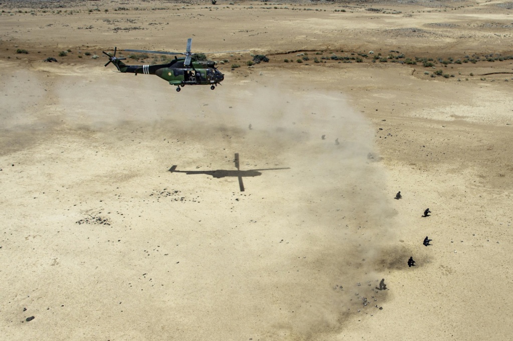 Armée djiboutienne / Djibouti National Army - Page 4 0c1b15