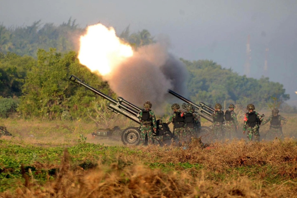 Armée Indonésienne / Indonesian National Armed Forces / Tentara Nasional Indonesia - Page 32 10135