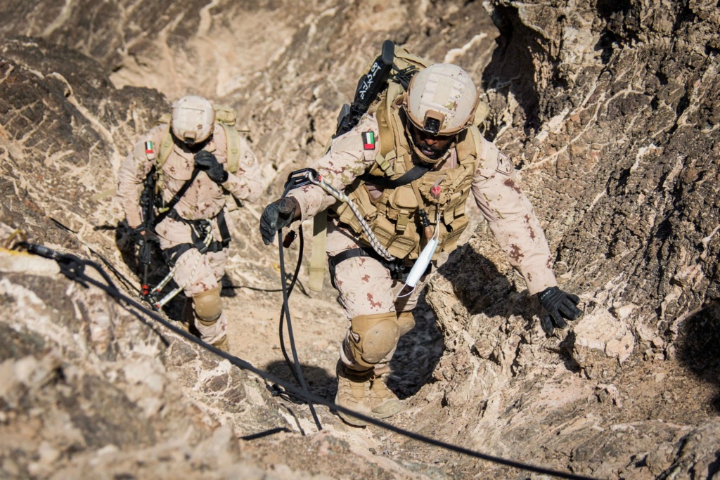 Armée Emirati/Union Defence Force (UAE) 15e15