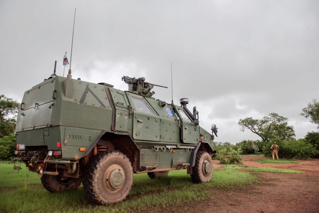 Armée Luxembourgeoise. - Page 5 23426710