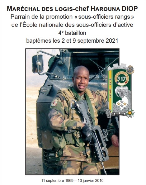 Armée Française / French Armed Forces - Page 14 36003610