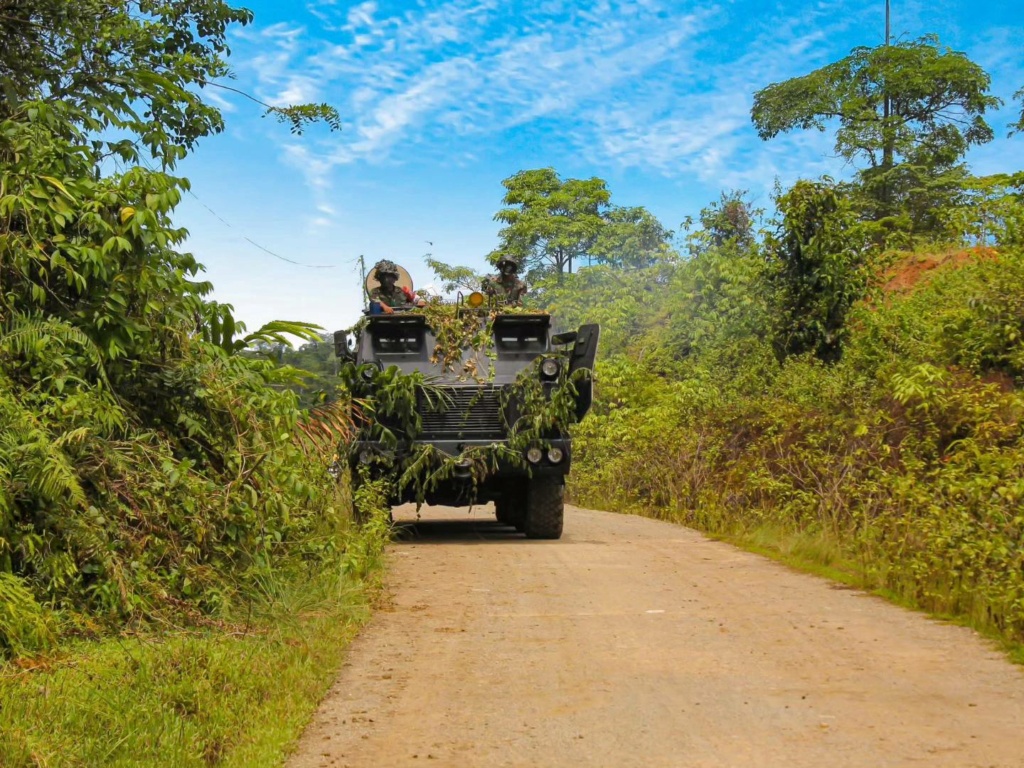 Armée Indonésienne / Indonesian National Armed Forces / Tentara Nasional Indonesia - Page 32 42980810