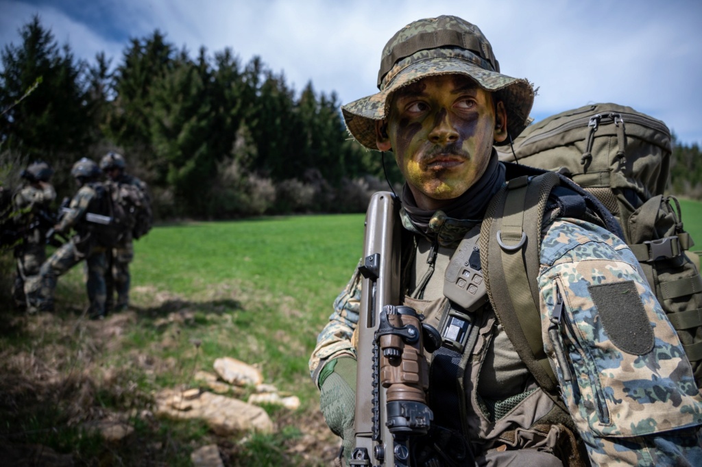 Armée autrichienne / Austrian Armed Forces / Österreichisches Bundesheer  - Page 8 43485810