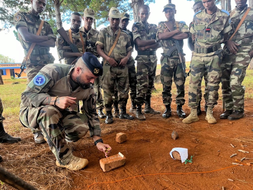 L'armée de Madagascar. - Page 3 43811810