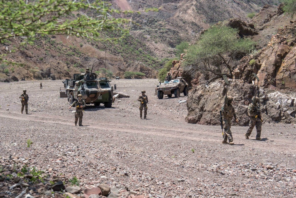 Armée Française / French Armed Forces - Page 27 43820512