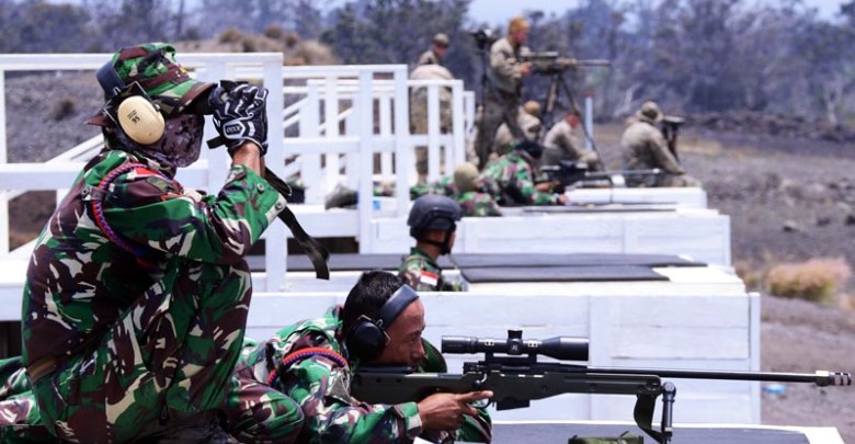 Armée Indonésienne / Indonesian National Armed Forces / Tentara Nasional Indonesia - Page 23 4482