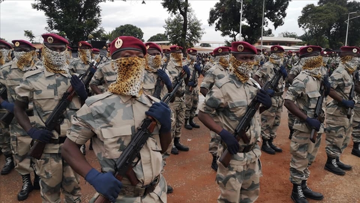 Armées de la République centrafricaine  - Page 11 570