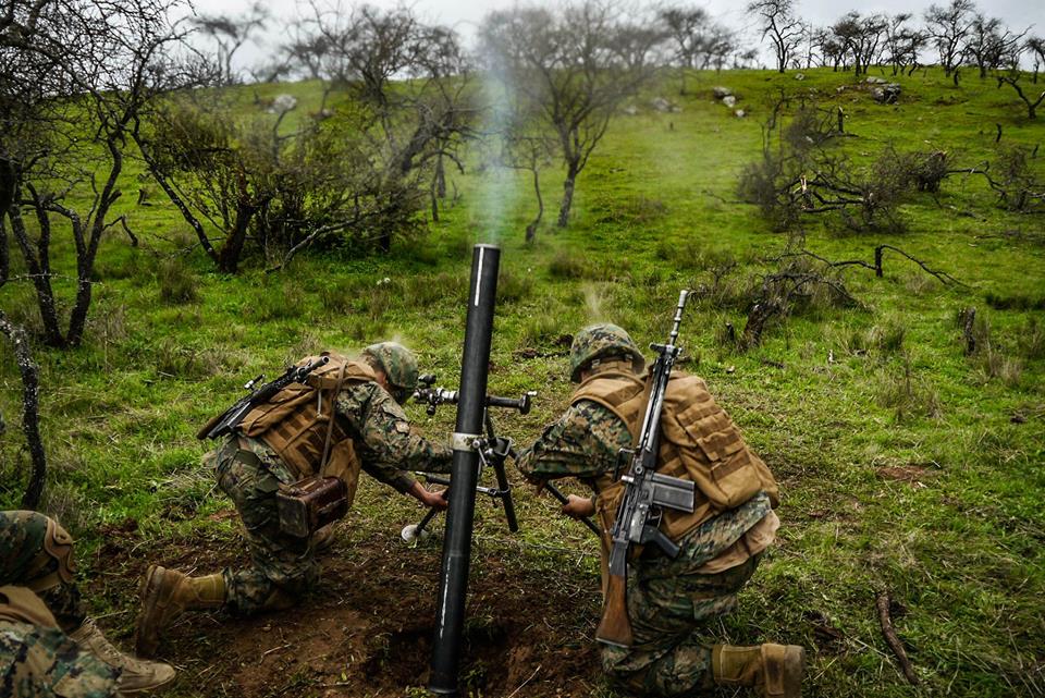 Armée Chilienne / Chile's armed forces / Fuerzas Armadas de Chile - Page 14 733