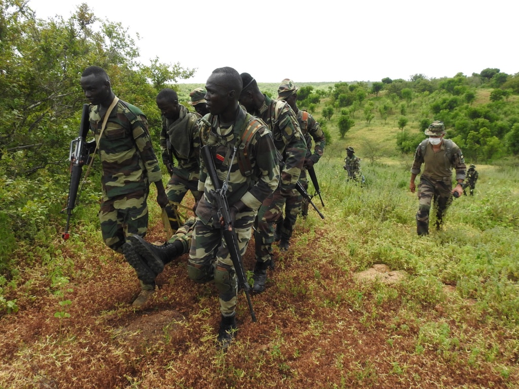 Armée Sénégalaise - Page 11 7a35