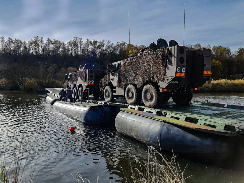 Armée Française / French Armed Forces - Page 40 8100