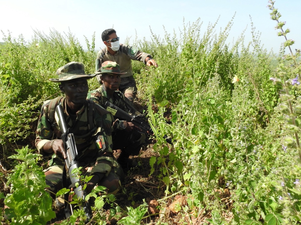 Armée Sénégalaise - Page 11 982