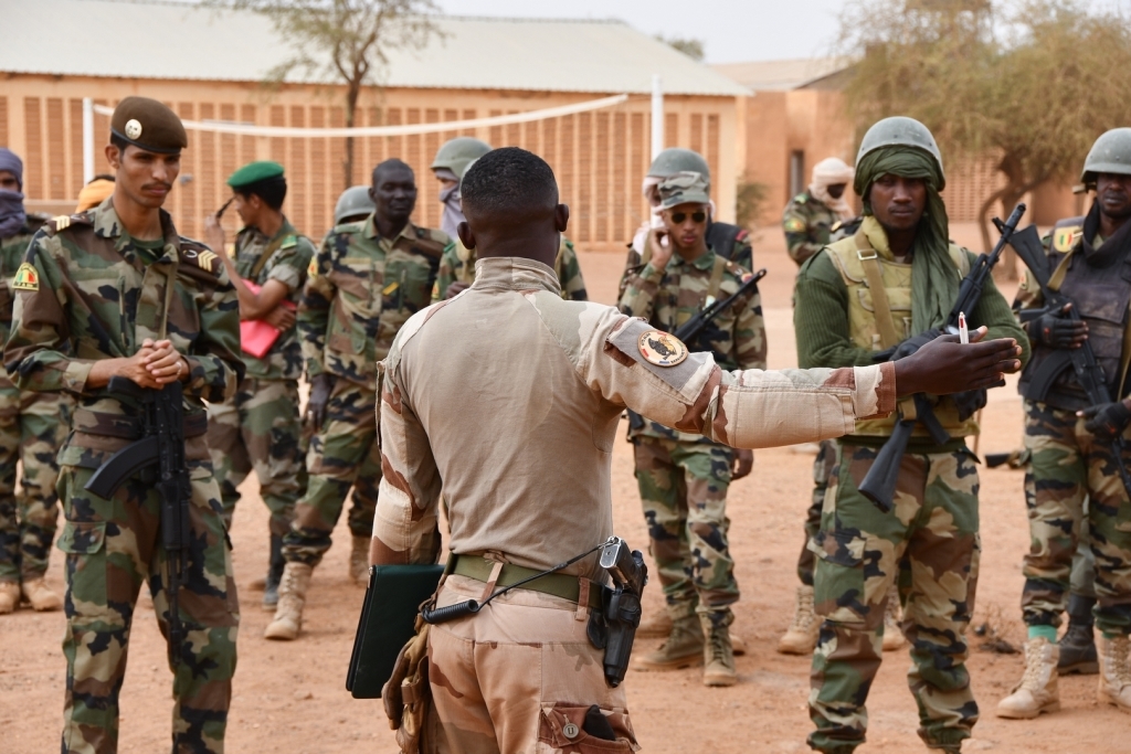 Armée Malienne / Armed and Security Forces of Mali - Page 16 _12f3197