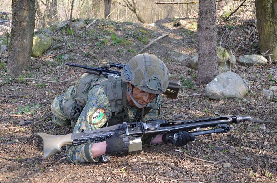 Armée autrichienne / Austrian Armed Forces / Österreichisches Bundesheer  - Page 7 _7a17