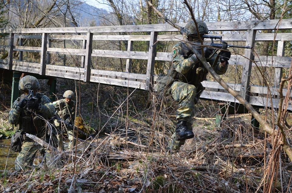 Armée autrichienne / Austrian Armed Forces / Österreichisches Bundesheer  - Page 7 _7c17