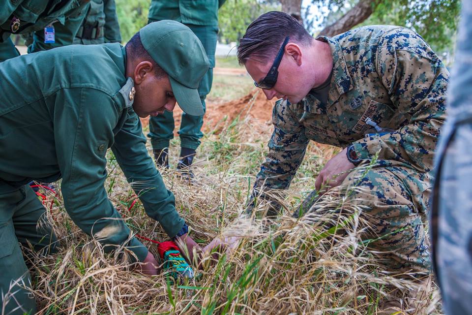 Cooperation militaire avec les USA - Page 7 _994