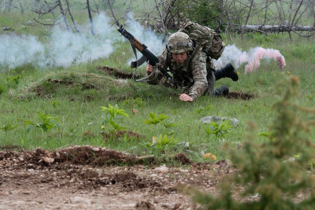 Armée du Monténégro / Montenegro Armed Forces / Vojska Crne Gore - Page 2 Fxdnwc11