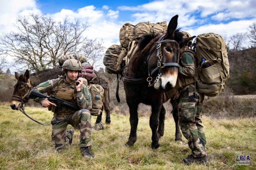 Armée Française / French Armed Forces - Page 25 Gj0vp010