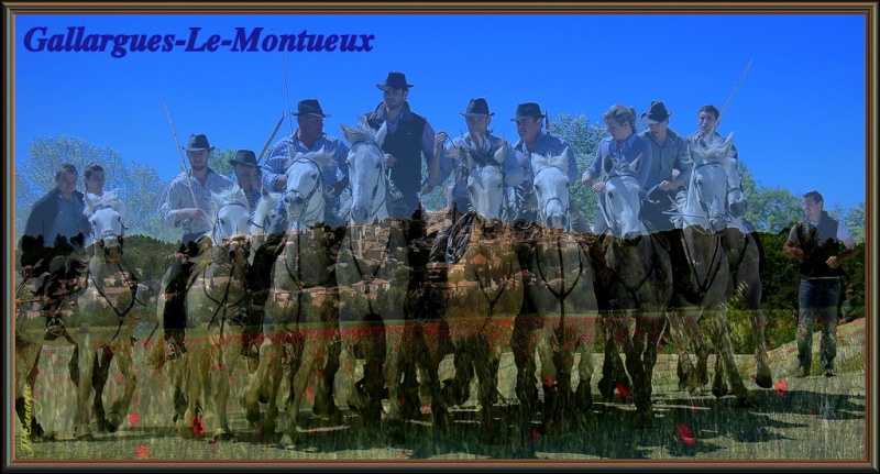 Gallargues-Le-Montueux , ferrades et abrivados du (04/05/2014 ) _dsc0510