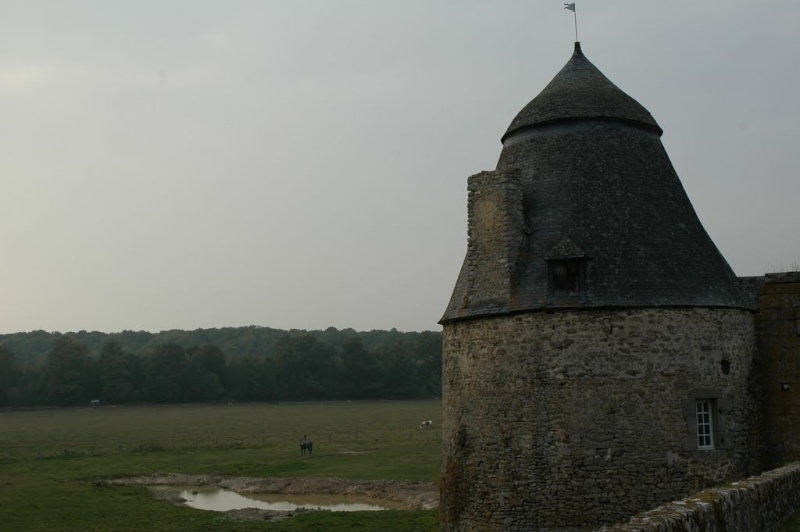 Quel nom pour cette toiture peu courante ? Dsc_8710